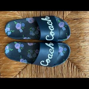 women’s coach blue floral slides